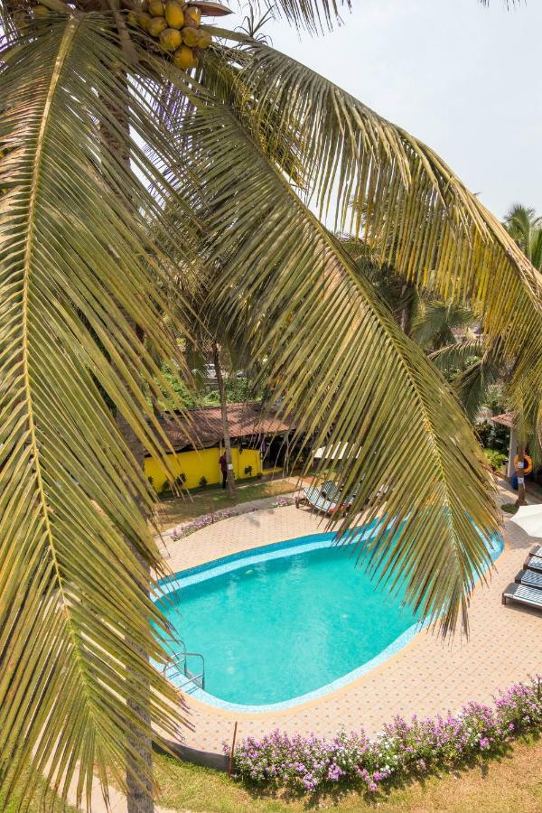 קלנגוטה Dona Julia Beach Resort מראה חיצוני תמונה